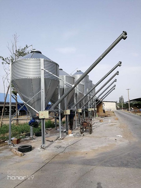 畜牧業(yè)養(yǎng)殖戶選擇料塔料線的四點(diǎn)原因！