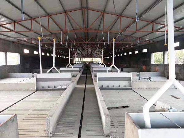 育肥自動(dòng)喂料線